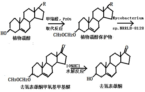 微生物發(fā)酵法生產 DHEA 反應流程圖